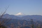 高尾山から富士山を臨む