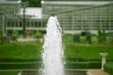 神代植物公園の噴水